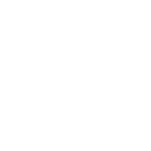 FB Icon (White)