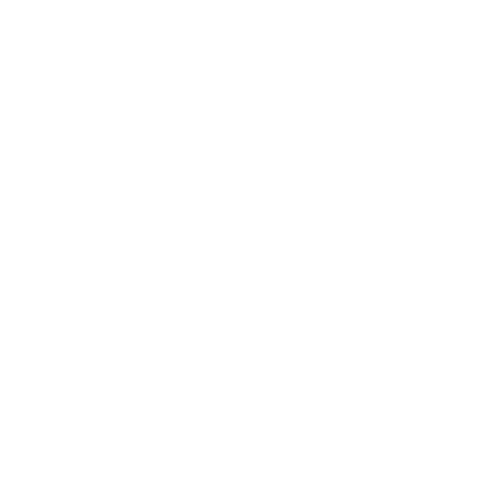 Insta Icon (White)